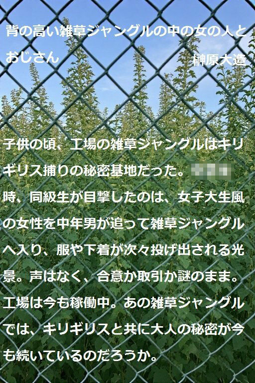 背の高い雑草ジャングルの中の女の人とおじさん 画像6