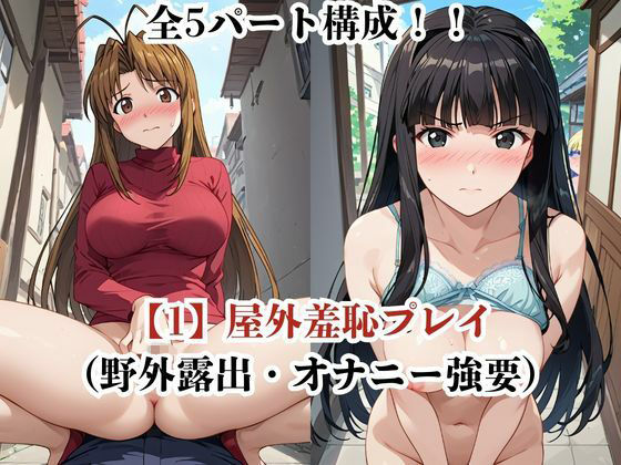 肉玩具認定証発行！！街の性処理係堕ち。―快楽と恥辱の記録―成●川なる＆青●素子編 画像3