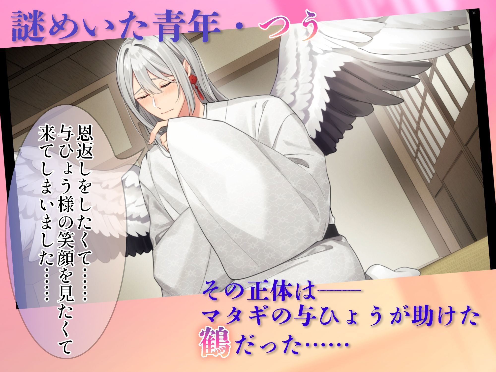 《Live2Dアニメ》敏感エロ鶴のえっちなカラダで恩返し〜絶頂体質メスお兄さんと種付け絶倫交尾〜 画像4