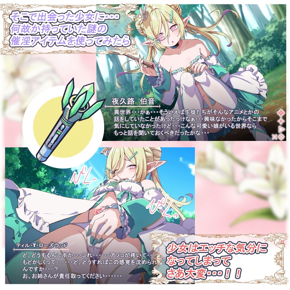 Project Meerverce Series5 つるぺたエルフを襲ってつるぺたサキュバスに襲われるヘンタイお姉さんの話_4