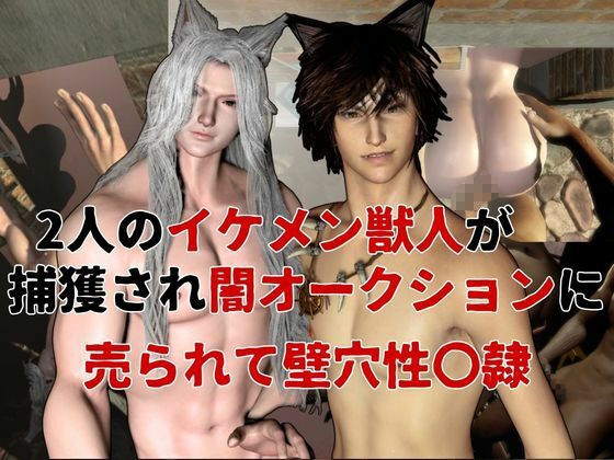 【凌●壁尻】獣美男子オークションー捕らわれ、売られ、壁穴拘束―白銀狐と狼美男子の拘束の壁穴売春宿 サンプル1