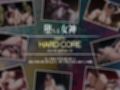 巨乳痴女同人CG集 エーテライト No.24 源頼光