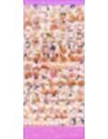 【俺◯妹がこんなに可愛いわけがない 4人】高◯桐乃＋綾◯新垣＋黒◯＋田◯麻奈実 がソープに初勤務！中出し解禁承諾で収入アゲアゲ！【498枚】