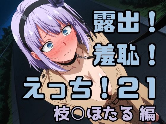 露出！羞恥！えっち！二次創作イラスト集21［枝○ほたる］