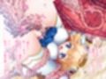 魔法少女は触手快楽にイク［急］