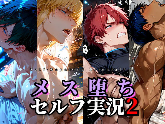 メス堕ちセルフ実況2 YAOI SEX イラスト集