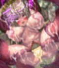 【グラブル】アニラ苗床石化  ある騎空士の旅の終わり