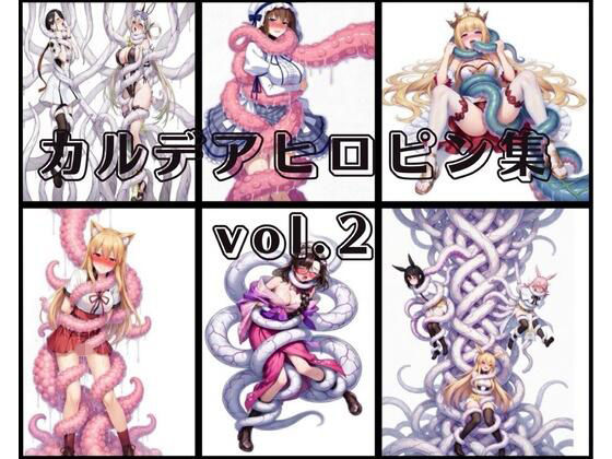 カルデアヒロピンCG集vol.2