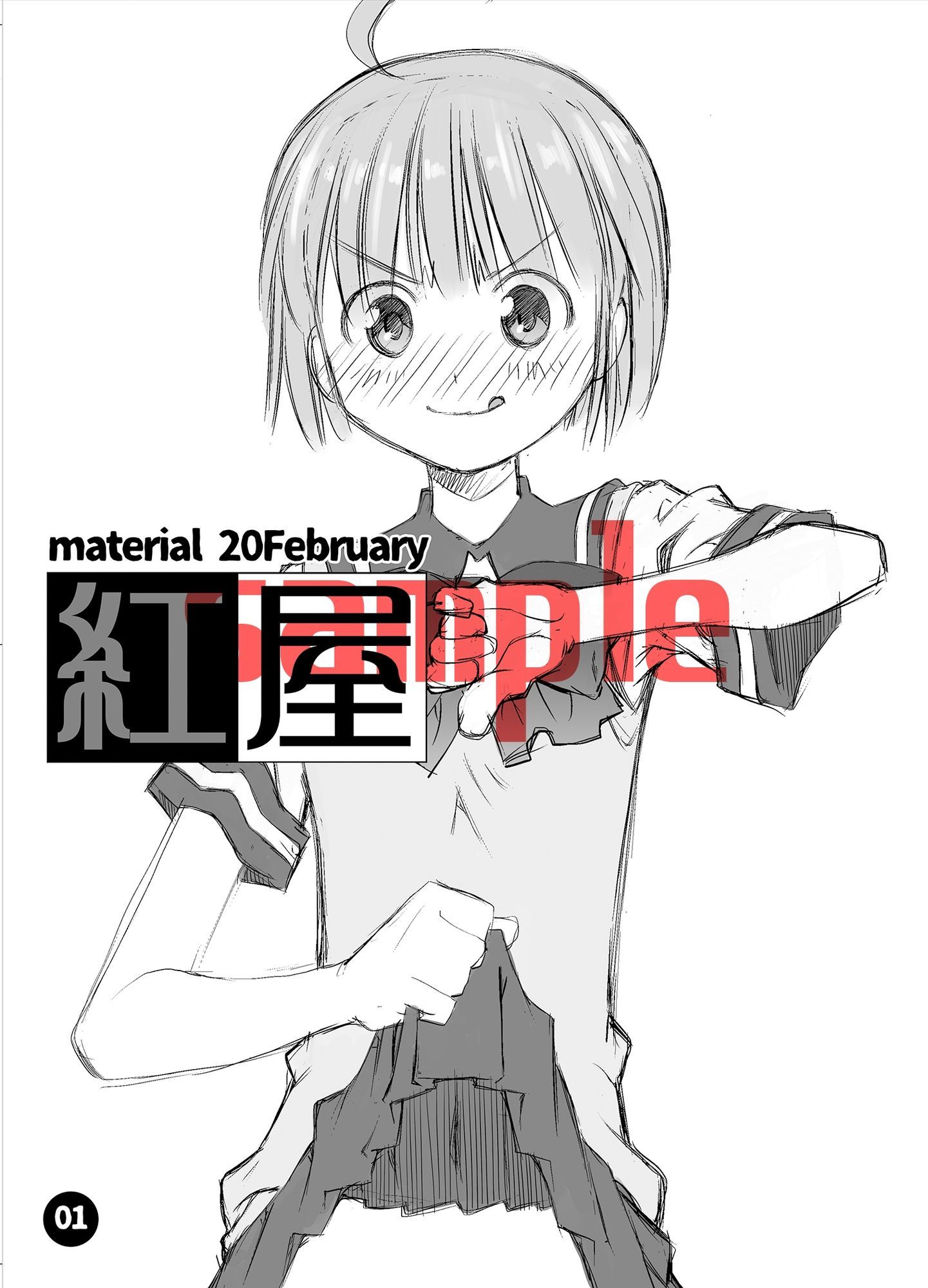 material20February1
