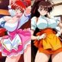闘うウエイトレスセット