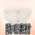 陰毛素材