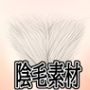 陰毛素材