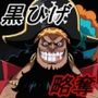 【ONE PI〇CE】海賊王黒ひげ〜略奪の記録〜
