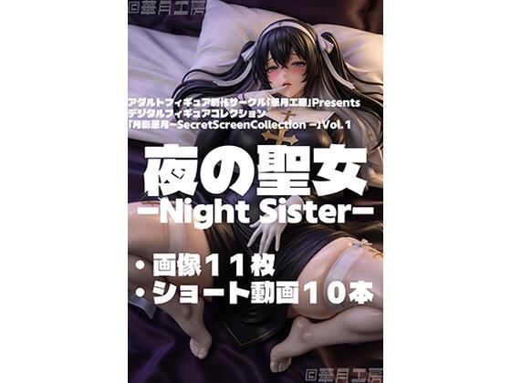 夜の聖女 - Night Sister - 画像1
