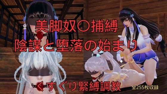 美脚奴〇捕縛 陰謀と堕落の始まり d_762799 2026/06/30image