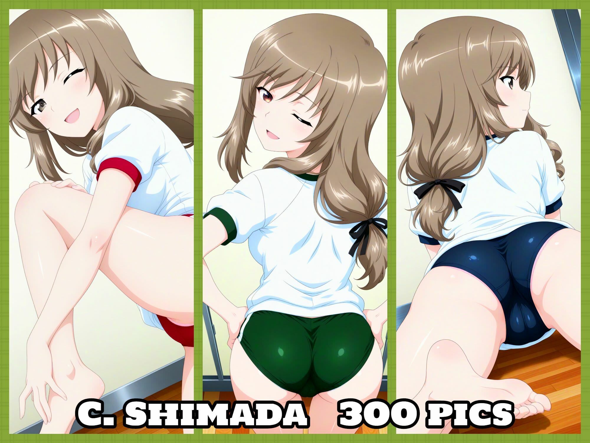 Girls und Buruma Hamipan 島田流家元編 サンプル3