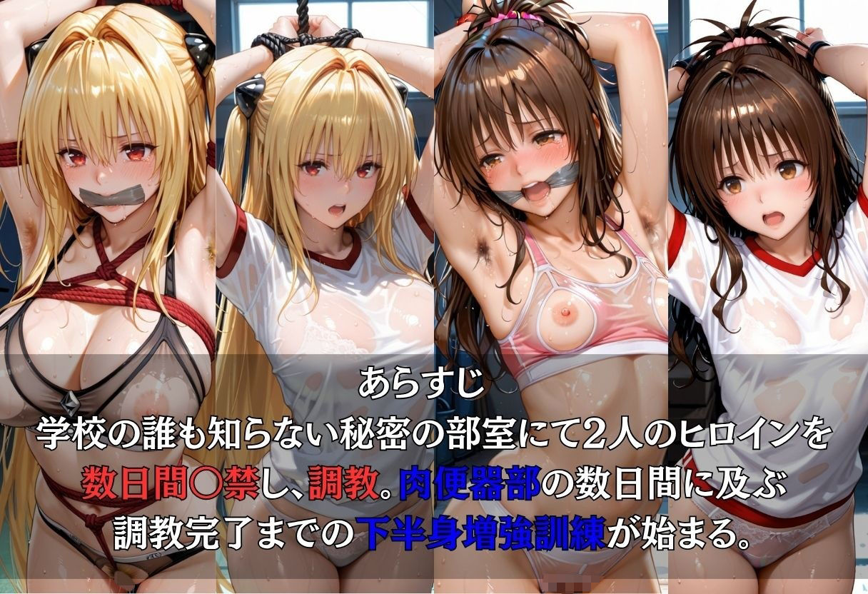 ヒロイン監禁  NTR_0