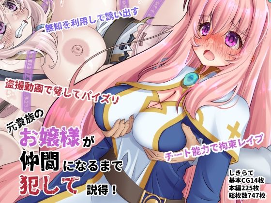 元貴族のお嬢様を仲間になるまで犯して説得の画像