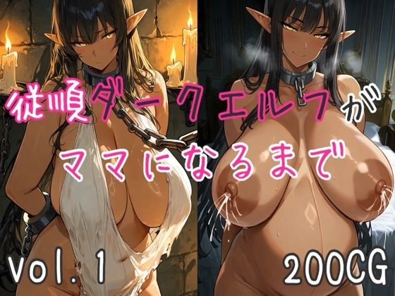 従順ダークエルフがママになるまで