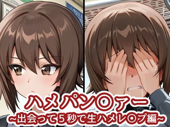 ハメパン〇ァー 〜出会って5秒で生ハメレ〇プ編〜【バークライトワークス】
