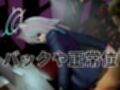 ツンデレ狼少女のしろこちゃんのご奉仕【着衣・裸体差分あり｜ブルーアーカイブ砂狼シロコ】