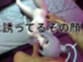 ツンデレ狼少女のしろこちゃんのご奉仕【着衣・裸体差分あり｜ブルーアーカイブ砂狼シロコ】