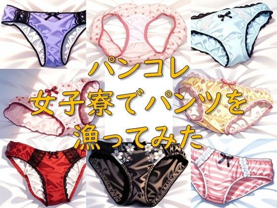 僕はとある女子寮内に忍び込むと 同じ内容になります【パンコレ_女子寮でパンツを漁ってみた】　by　AI幻想庭園