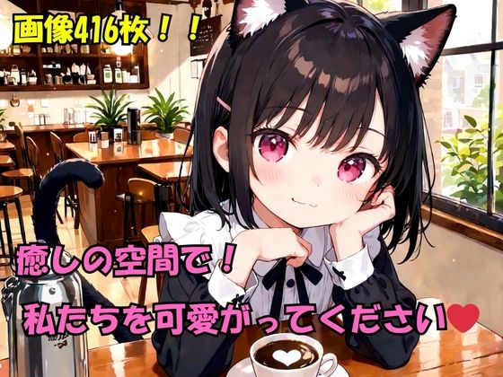 猫カフェで癒しの時間と裏メニュー