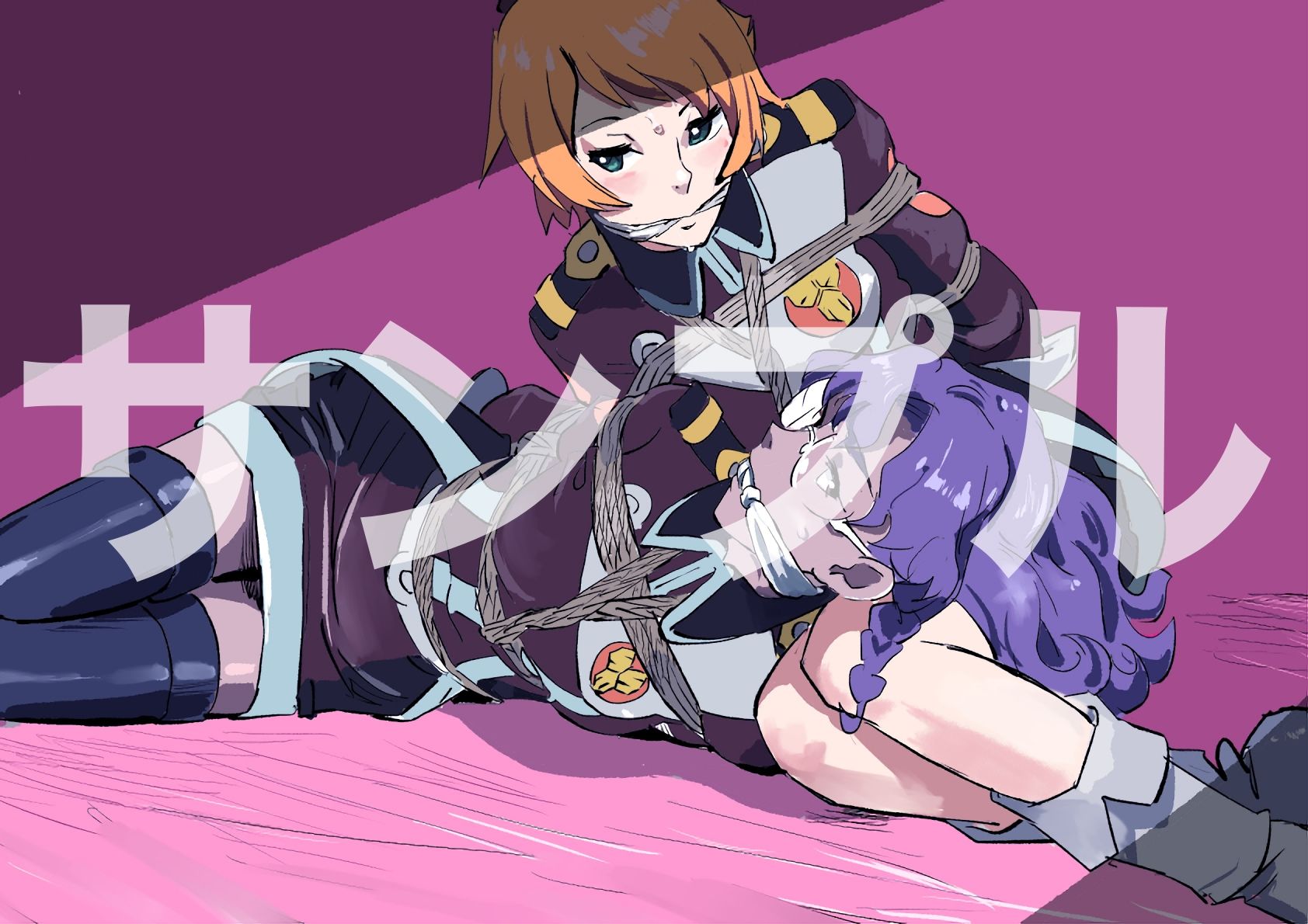 マクロスフロンティア  ヒロイン  SM緊縛画集 画像7