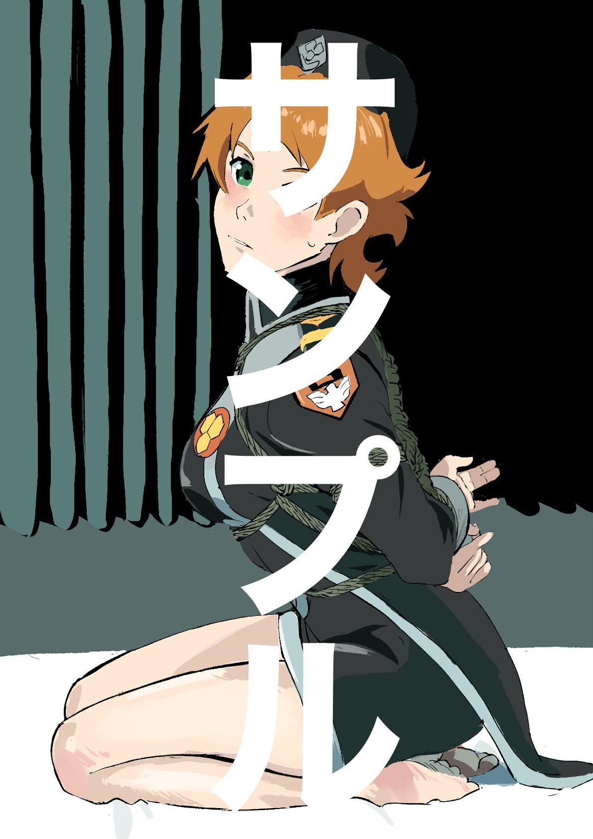 マクロスフロンティア  ヒロイン  SM緊縛画集 画像8