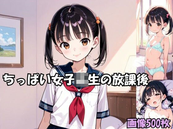 ちっぱい女子校生の放課後