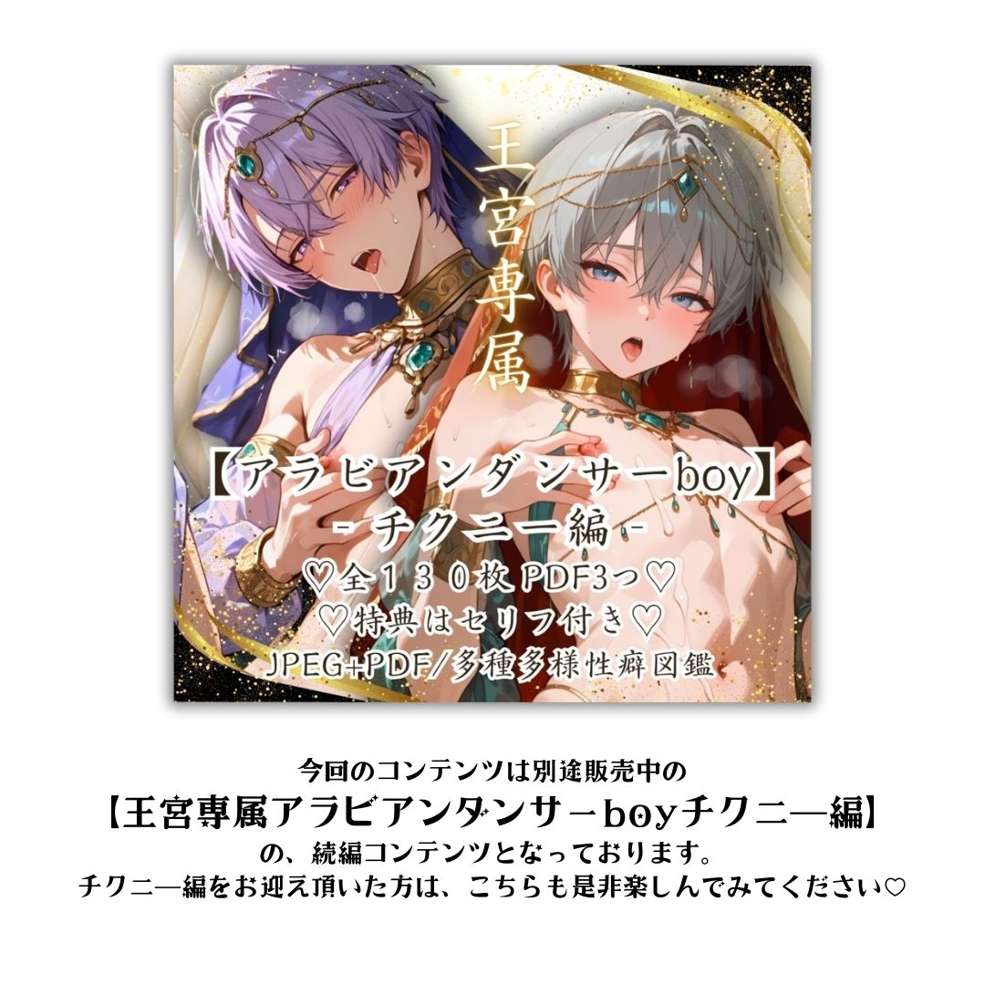 004.【王宮専属アラビアンダンサーボーイ‐熱解放編‐】 サンプル画像 8