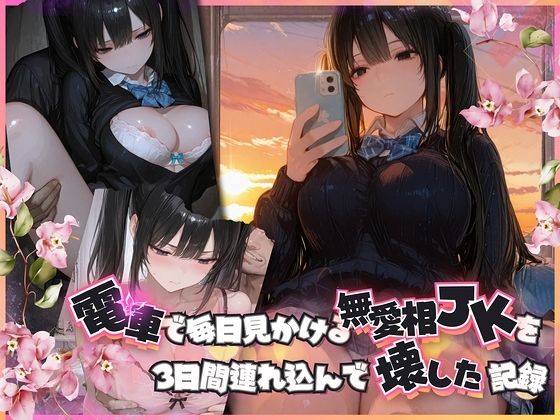 電車で毎日見かける無愛想JKを3日間連れ込んで壊した記録