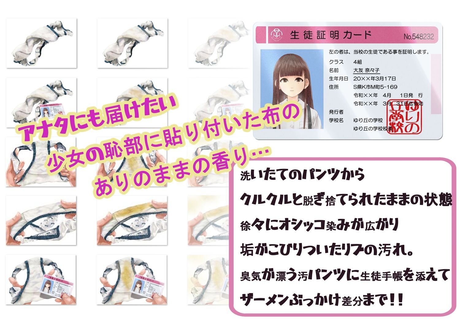 しゅくだいぱんつ「ななこ」_3