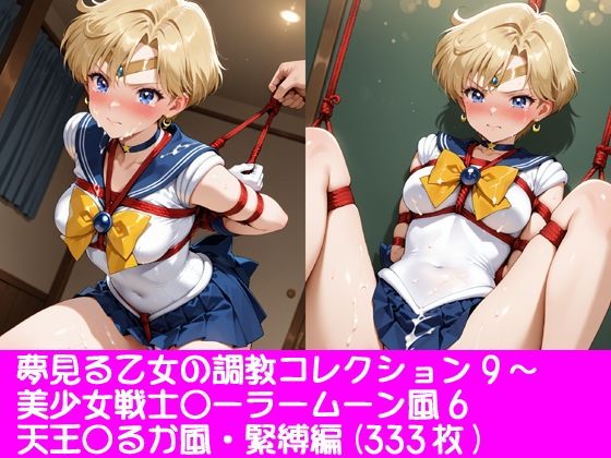 夢見る乙女の調教コレクション9〜美少女戦士〇ーラームーン風6・天王〇るか風・緊縛編