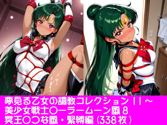 夢見る乙女の調教コレクション11〜美少女戦士〇ーラームーン風8 ・冥王〇つな風・緊縛編