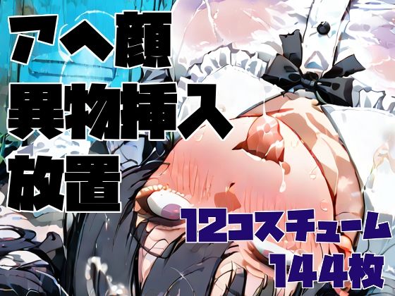 アヘ顔異物挿入ゴミ捨て場放置CG集 / 12コスチューム/ 144枚_1