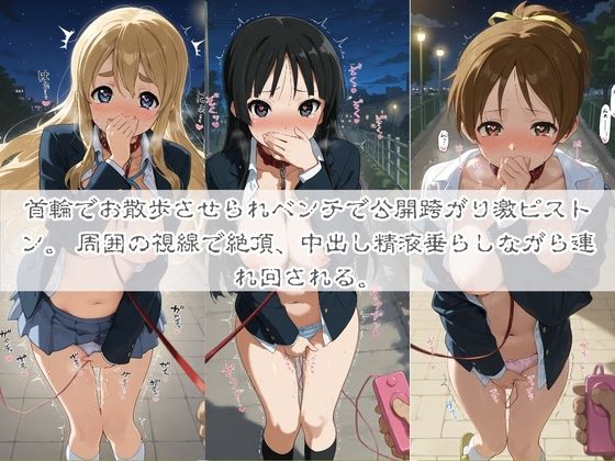 清楚系ヒロインがホームレスに拉致されて監禁いいなりオナホ化 け〇おん！ 画像4