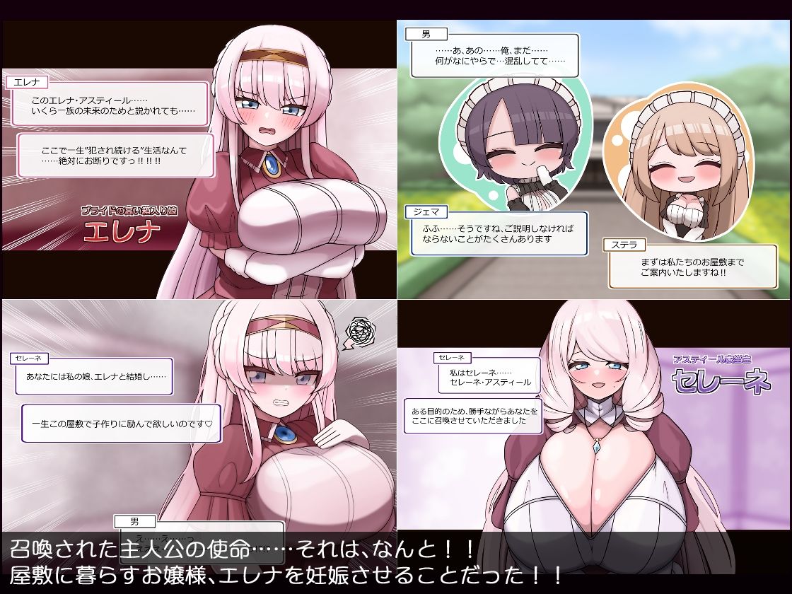 爆乳令嬢とむちむちメイド ハラマセ懇願ハーレム生活 画像2