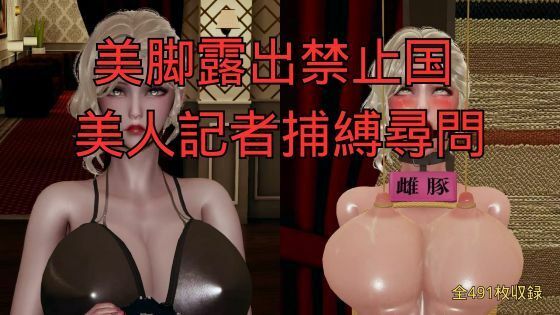 美脚露出禁止国 美人記者捕縛尋問(全6話)_1