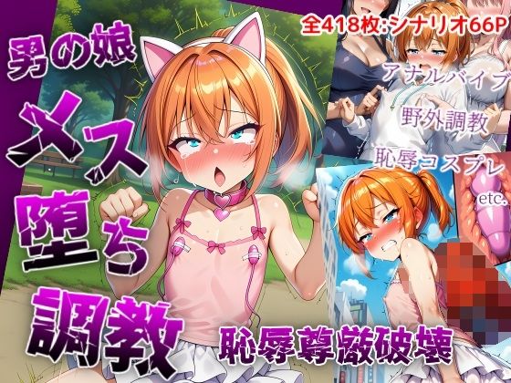 男の娘メス堕ち調教・恥辱尊厳破壊〜お姉さん達に恥ずかしい恰好で責められて尊厳破壊されメス堕ち屈服させられちゃう男の娘の話【saltワークス】