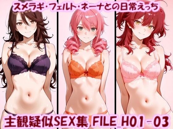 主観疑似SEX集 FILE_H01-03 スメラギ・フェルト・ネーナとの日常えっち【美乳淫】