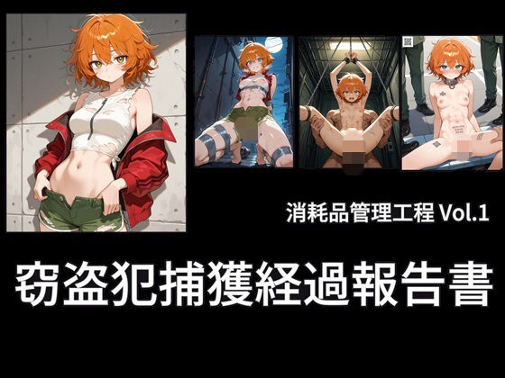 窃盗犯捕獲経過報告書