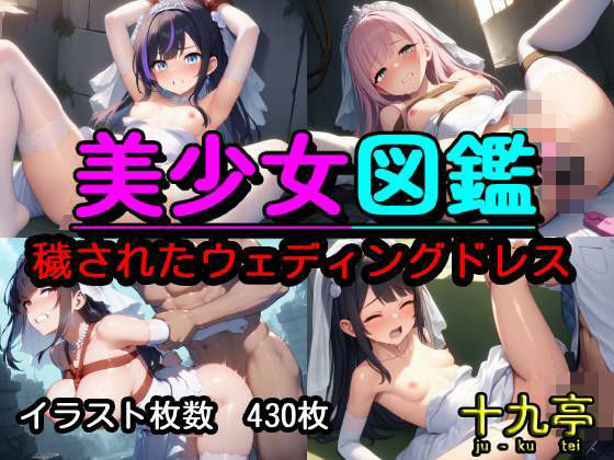 美少女図鑑  穢されたウェディングドレス_1