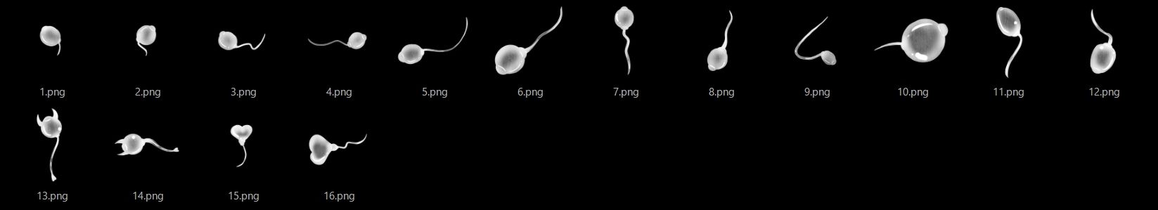 精子素材2 サンプル画像 2