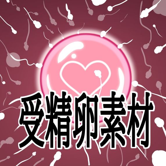 受精卵素材 サンプル画像 1