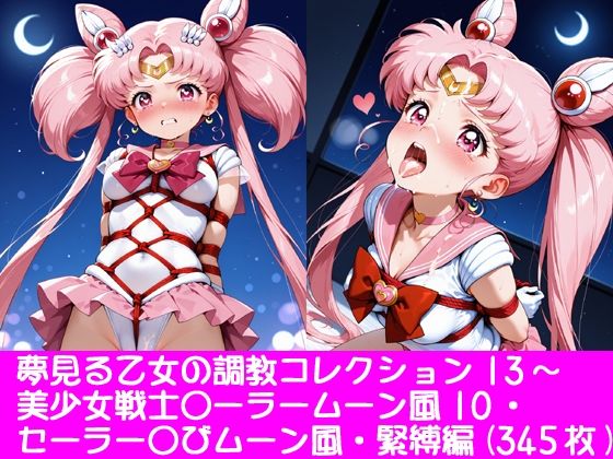 夢見る乙女の調教コレクション13〜美少女戦士〇ーラームーン風10・ちび〇さ風・緊縛編【ぱてぃすりーず】