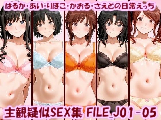 主観疑似SEX集 FILE_J01-05 はるか・あい・りほこ・かおる・さえとの日常えっち【美乳淫】