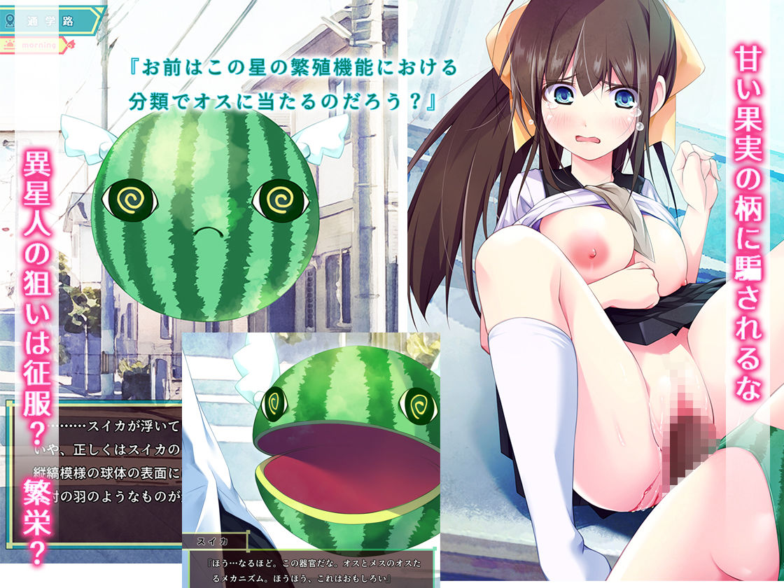 スイカパンティの侵略者 画像2