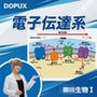 【▲20】一ノ瀬廻里 大学に進学し強豪予備校『DOPUX（ドピュックス』で生物I，IIを教える名物講師に！（Vol.023:電子伝達系）